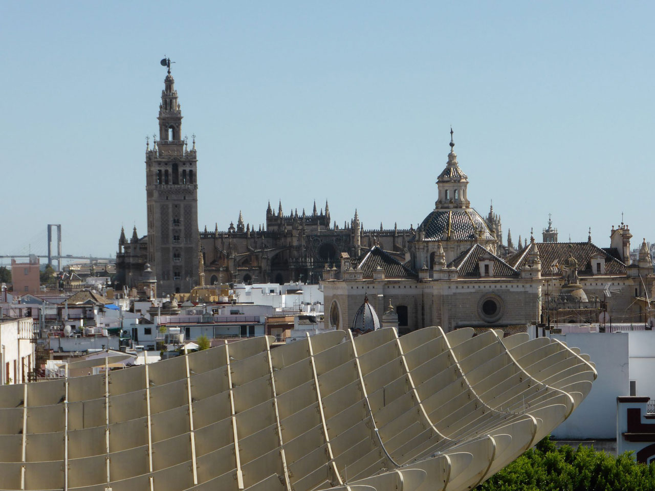 La Cattedrale di Siviglia vista dal Metropol Parasol