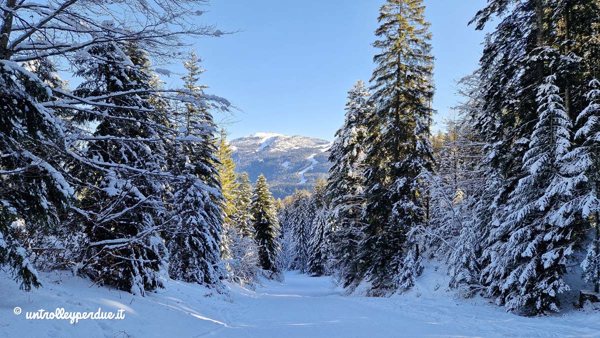 piste fai della paganella