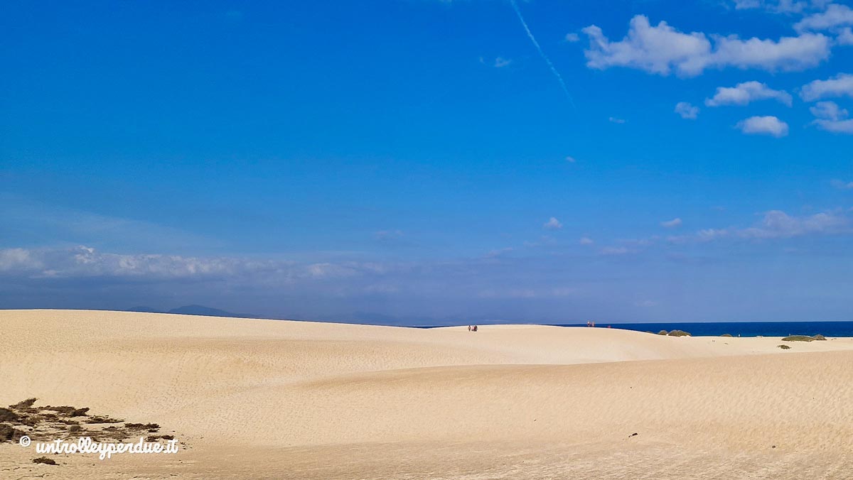 parco dune di corralejo
