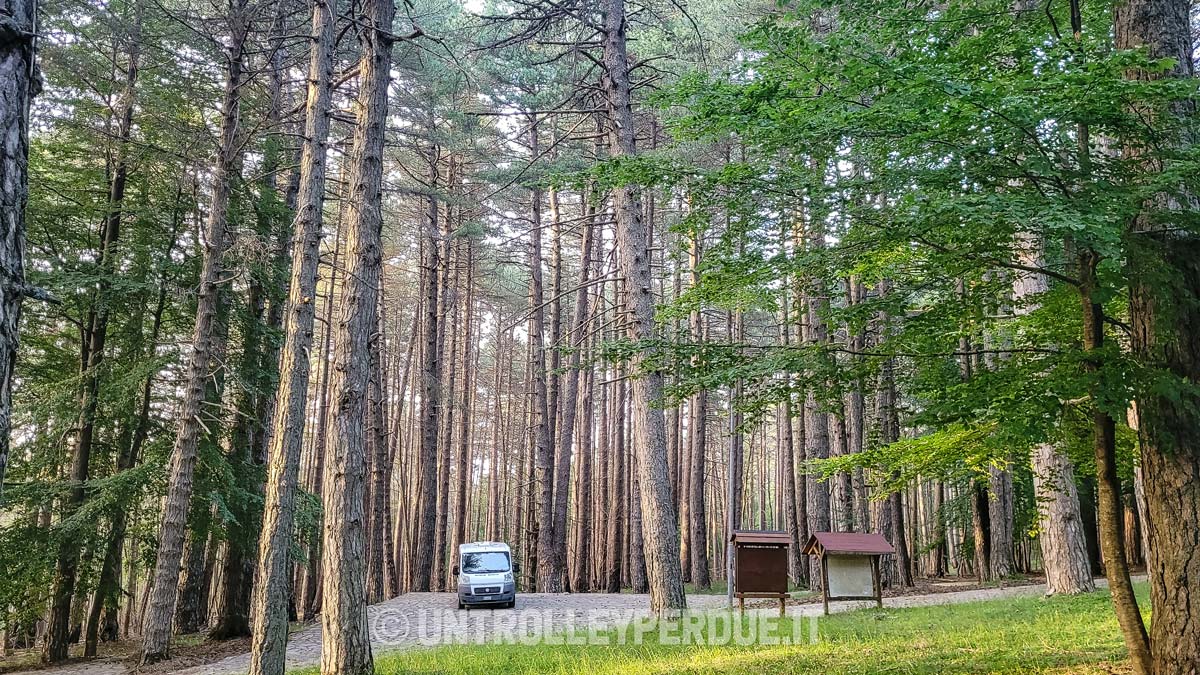 calabria in camper