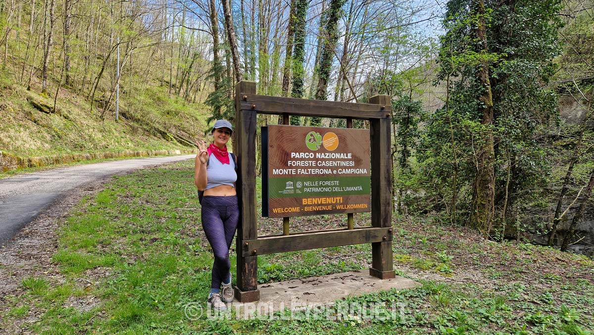 parco nazionale foreste casentinesi