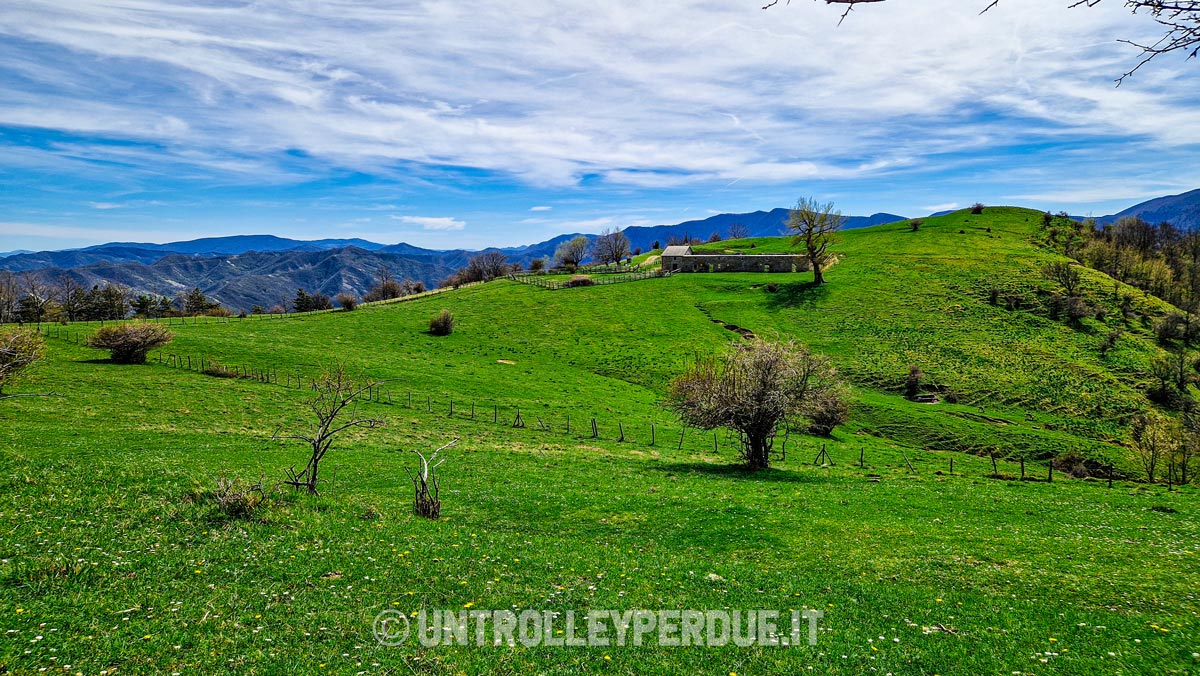 trekking foreste casentinesi