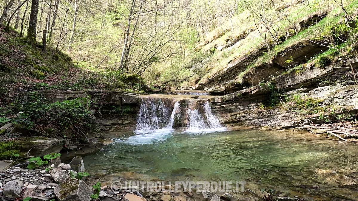 trekking foreste casentinesi
