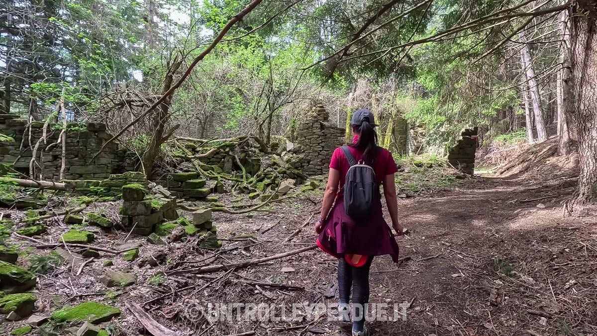 trekking foreste casentinesi