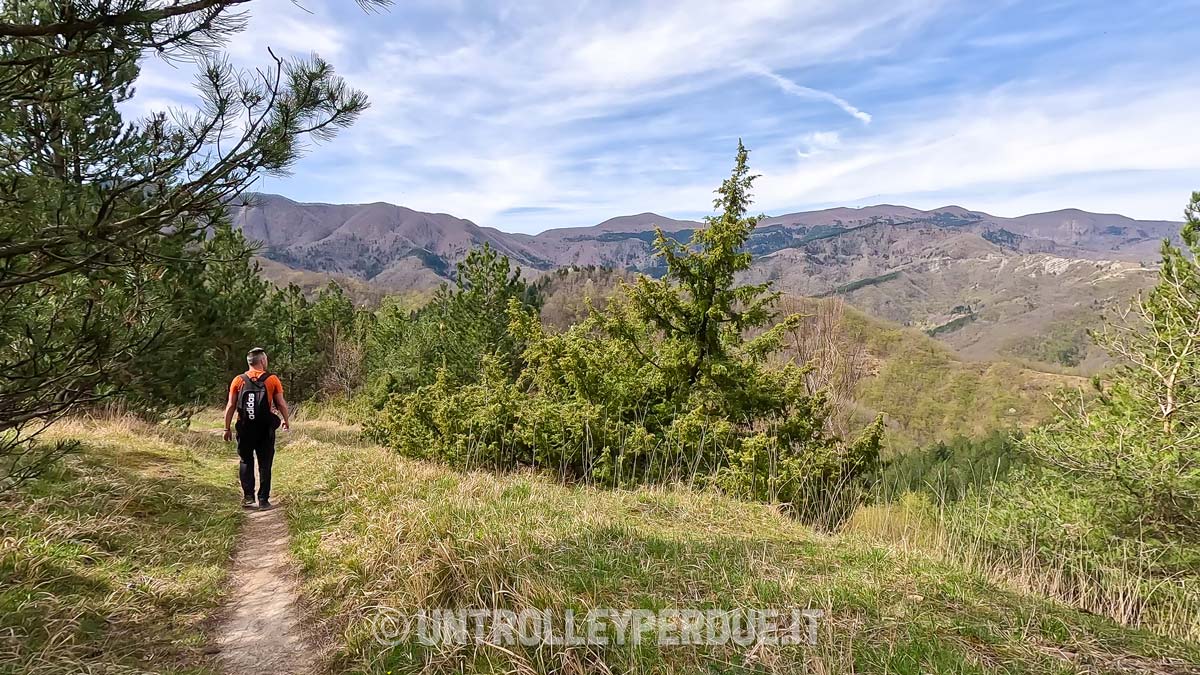 trekking foreste casentinesi
