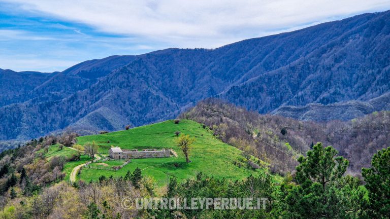 trekking foreste casentinesi