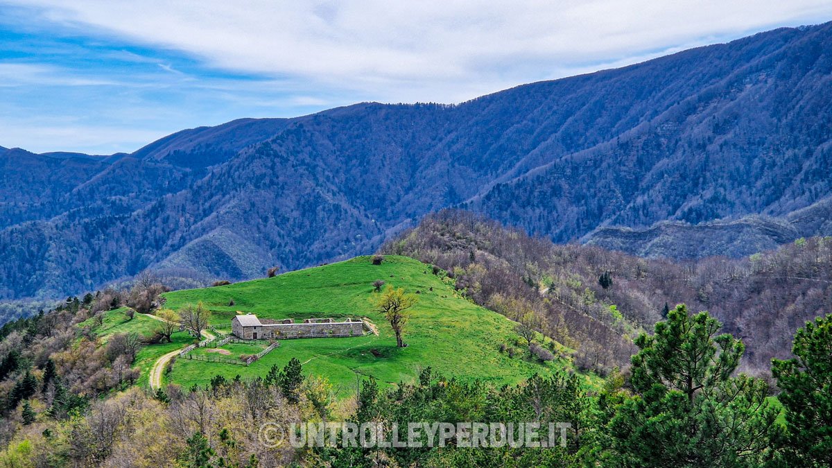 trekking foreste casentinesi