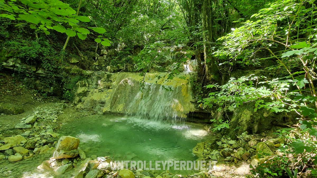 rio bucamante