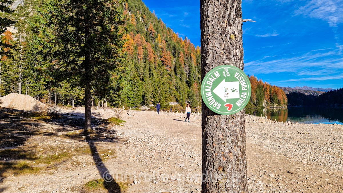 indicazioni malga foresta