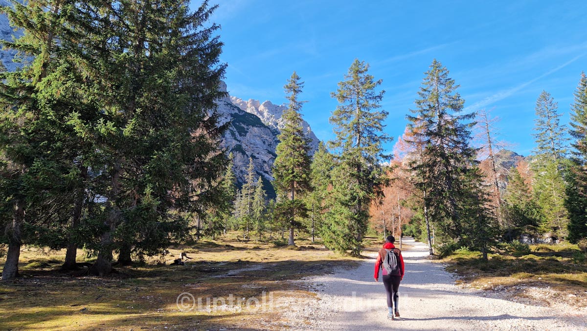 escursione dal lago di braies a malga foresta
