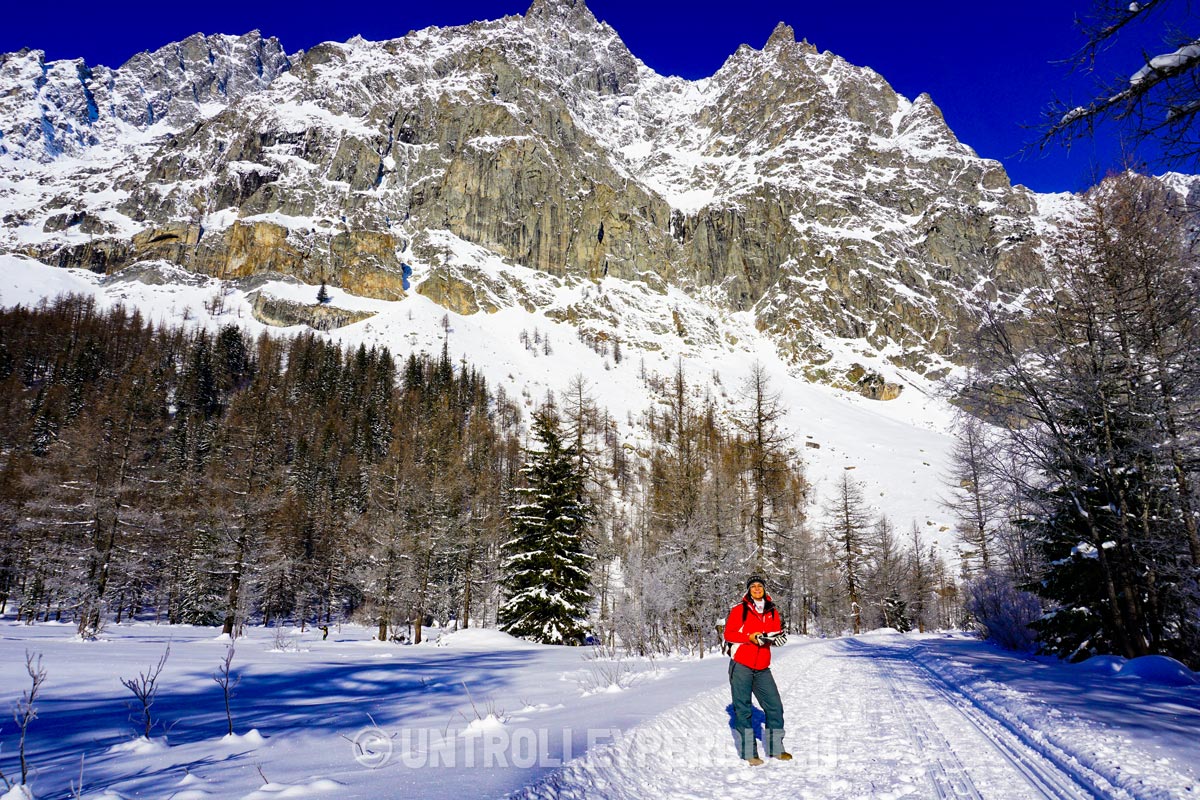 val ferret
