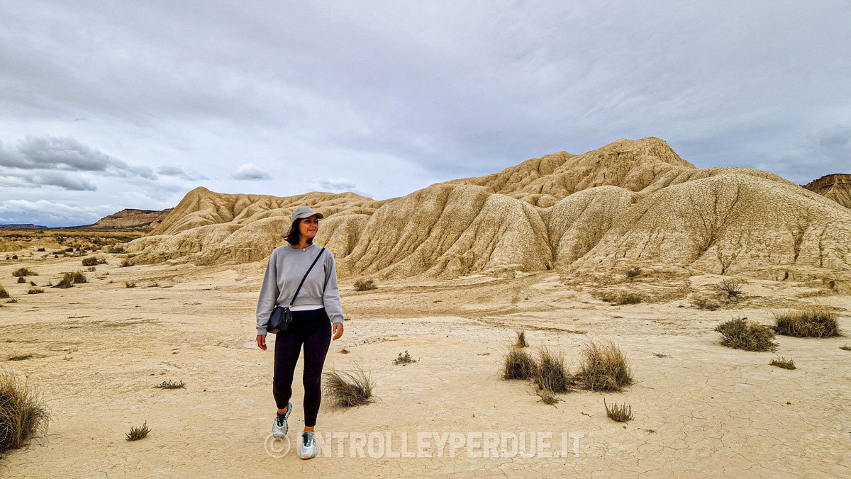 deserto bardenas reales