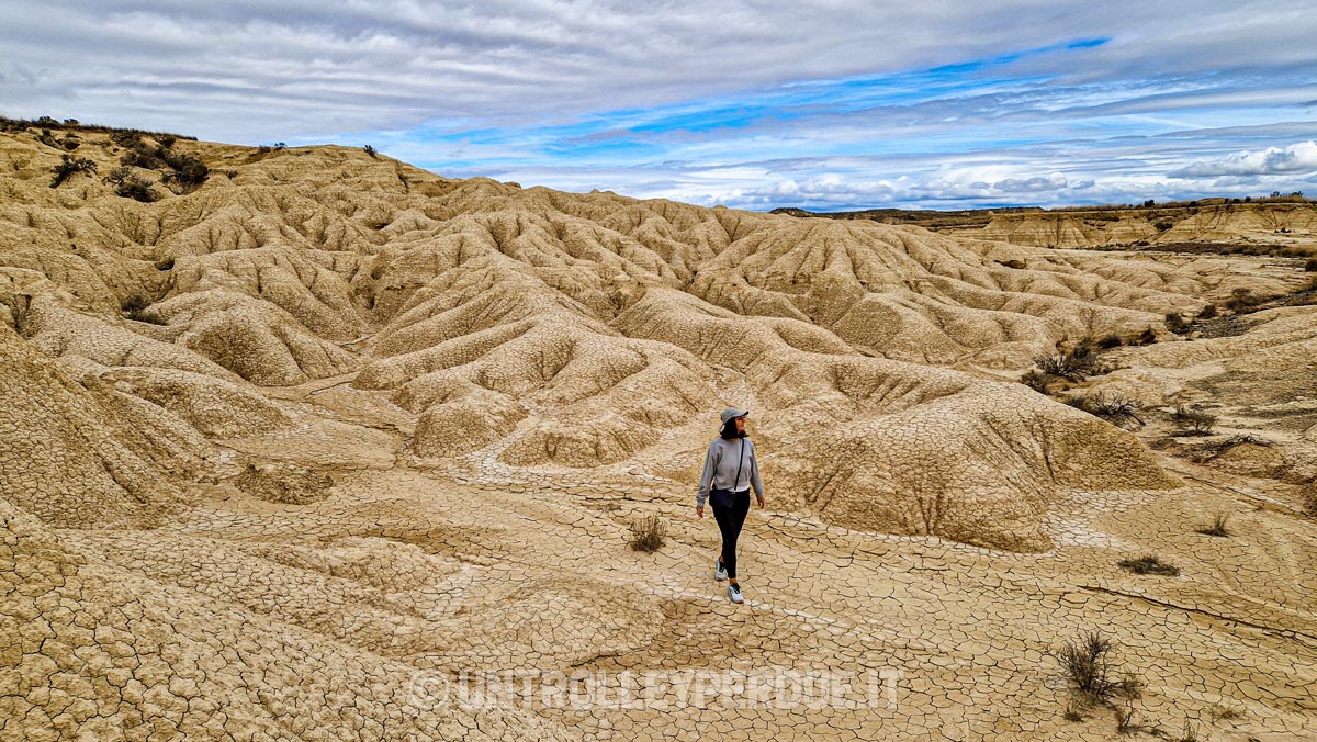 bardenas reales