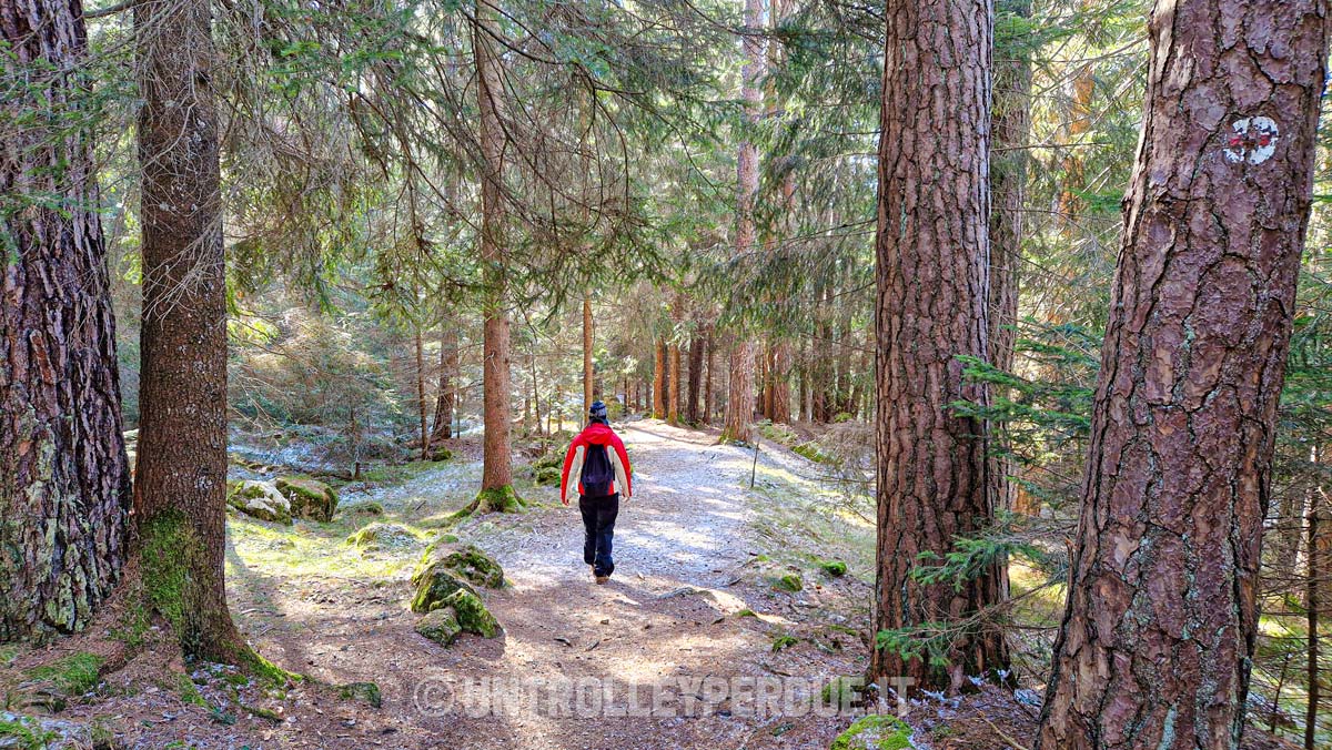 escursione nel parco naturale sciliar-catinaccio