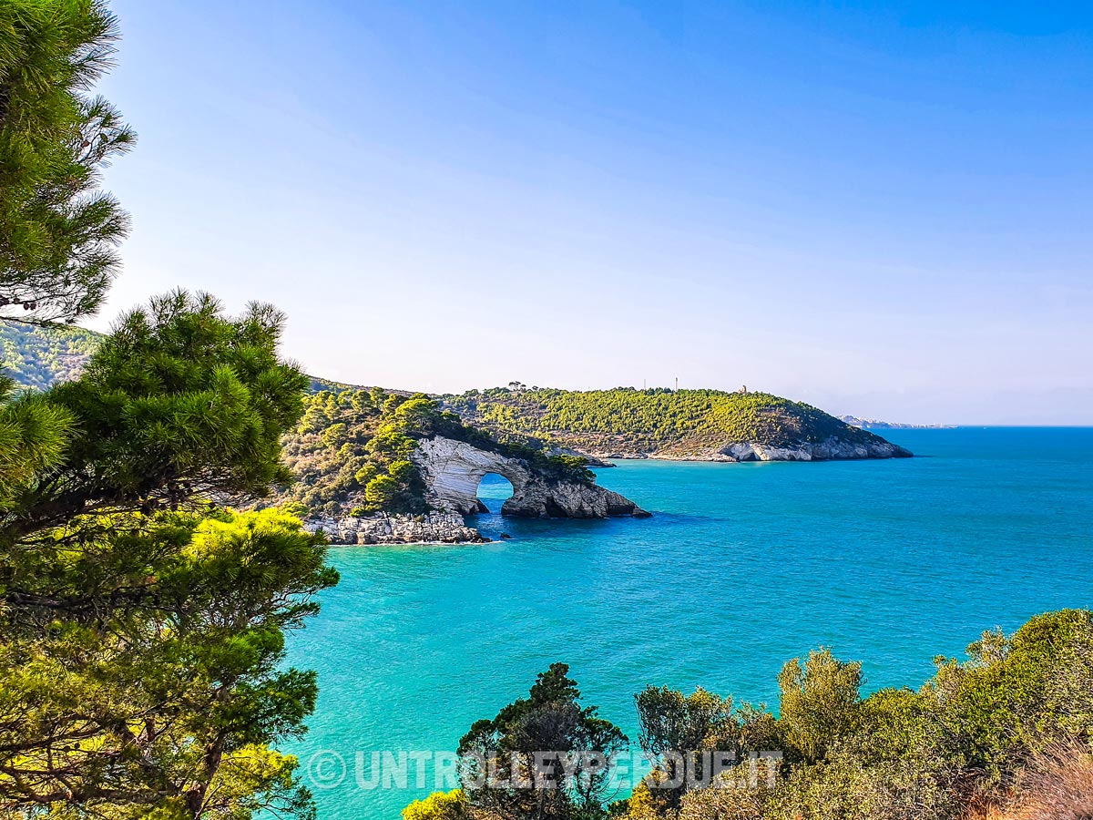 cosa vedere nel gargano