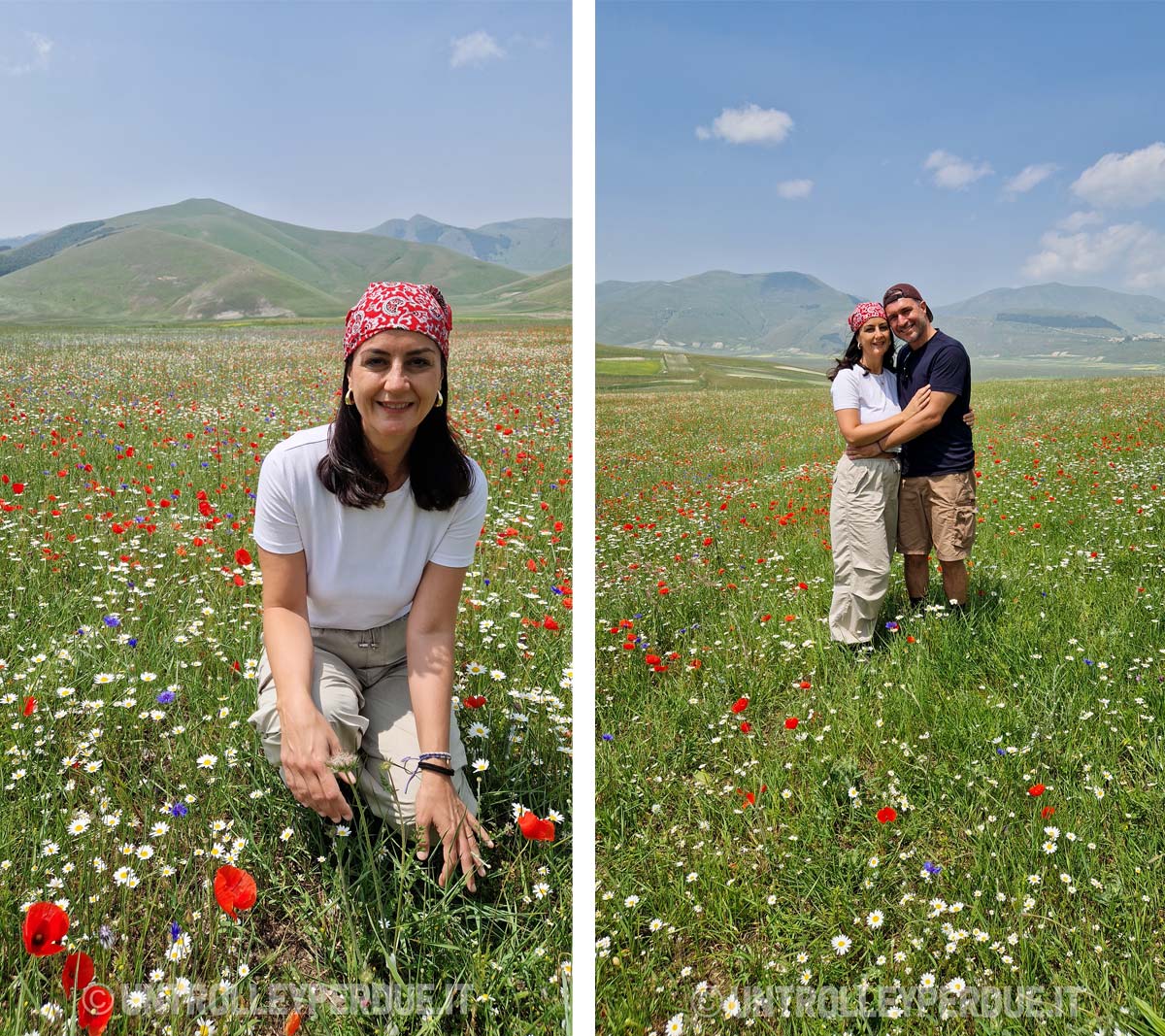 fioritura castelluccio