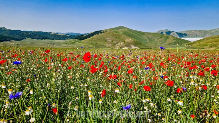 castelluccio di norcia