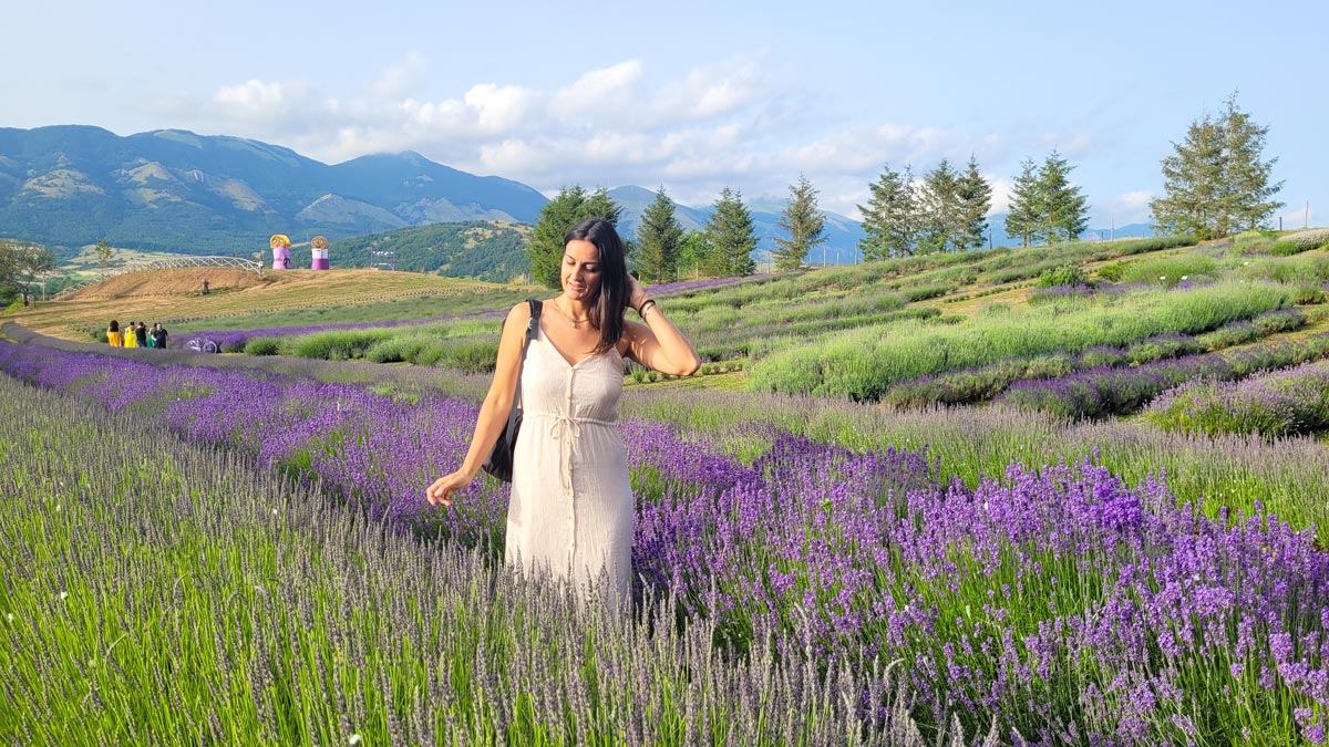parco della lavanda in calabria