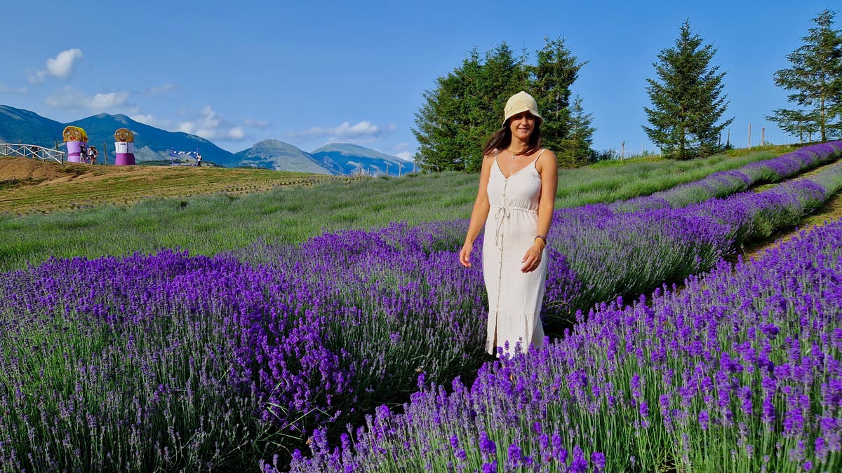 parco della lavanda calabria