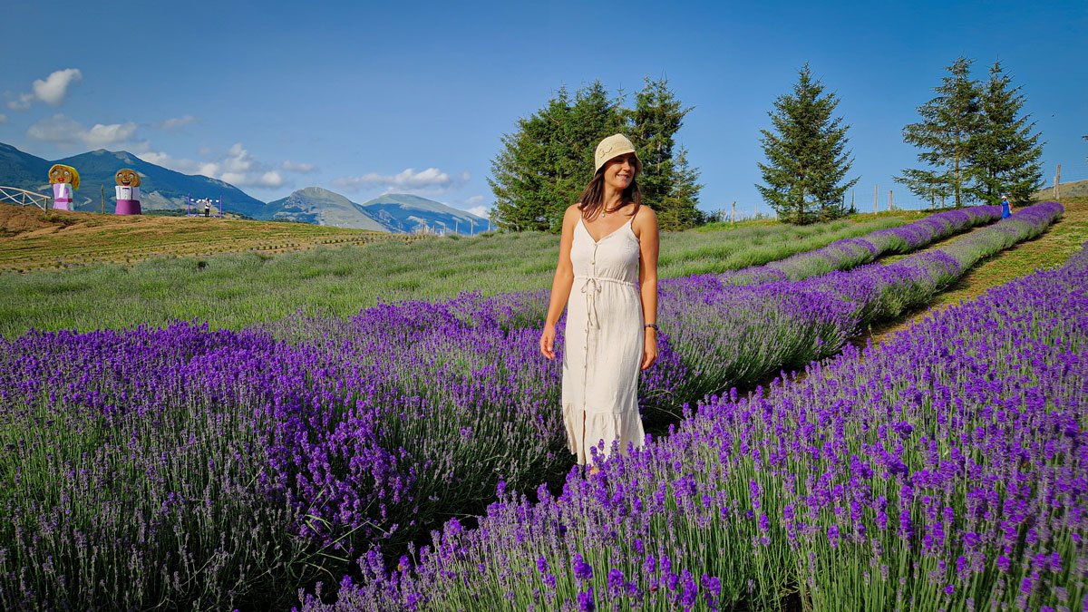 parco della lavanda calabria