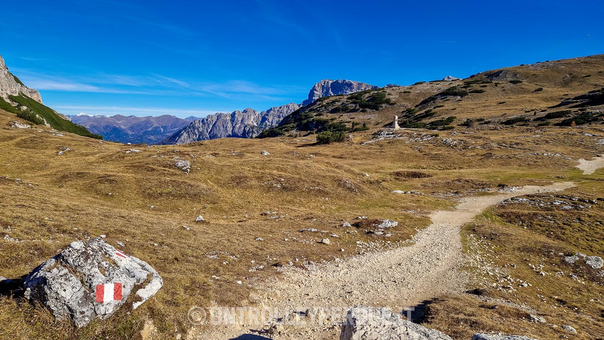salita al monte specie