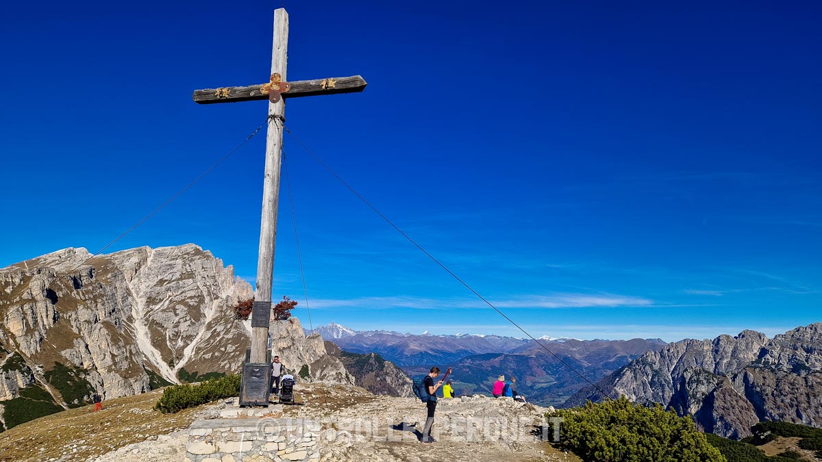 vetta monte specie