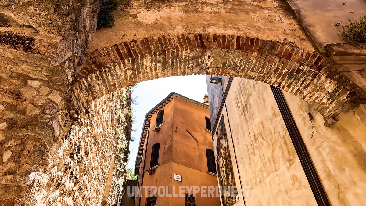pale umbria