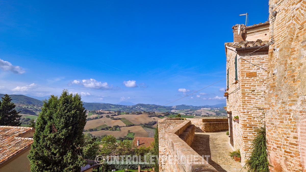 colline marchigiane