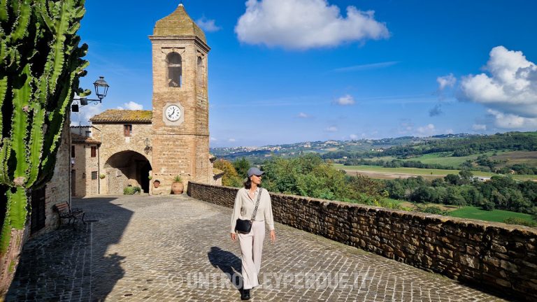 nove castelli di arcevia