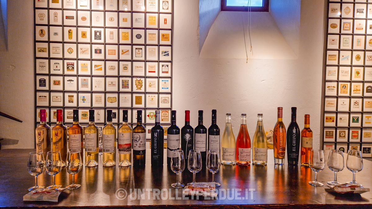 degustazione di vino a lanzarote