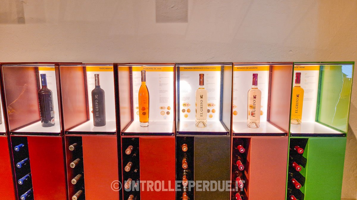 vini di lanzarote