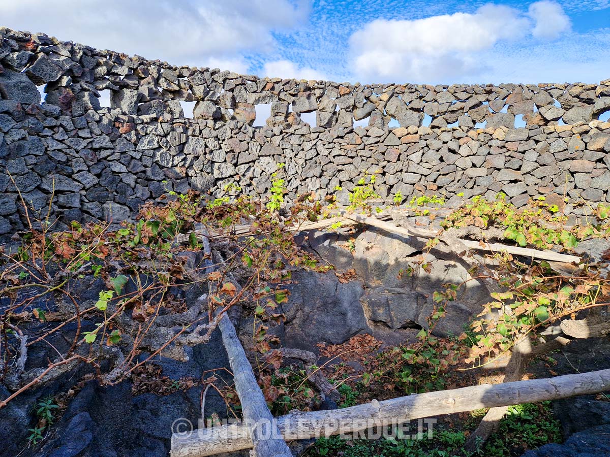 chabocos lanzarote