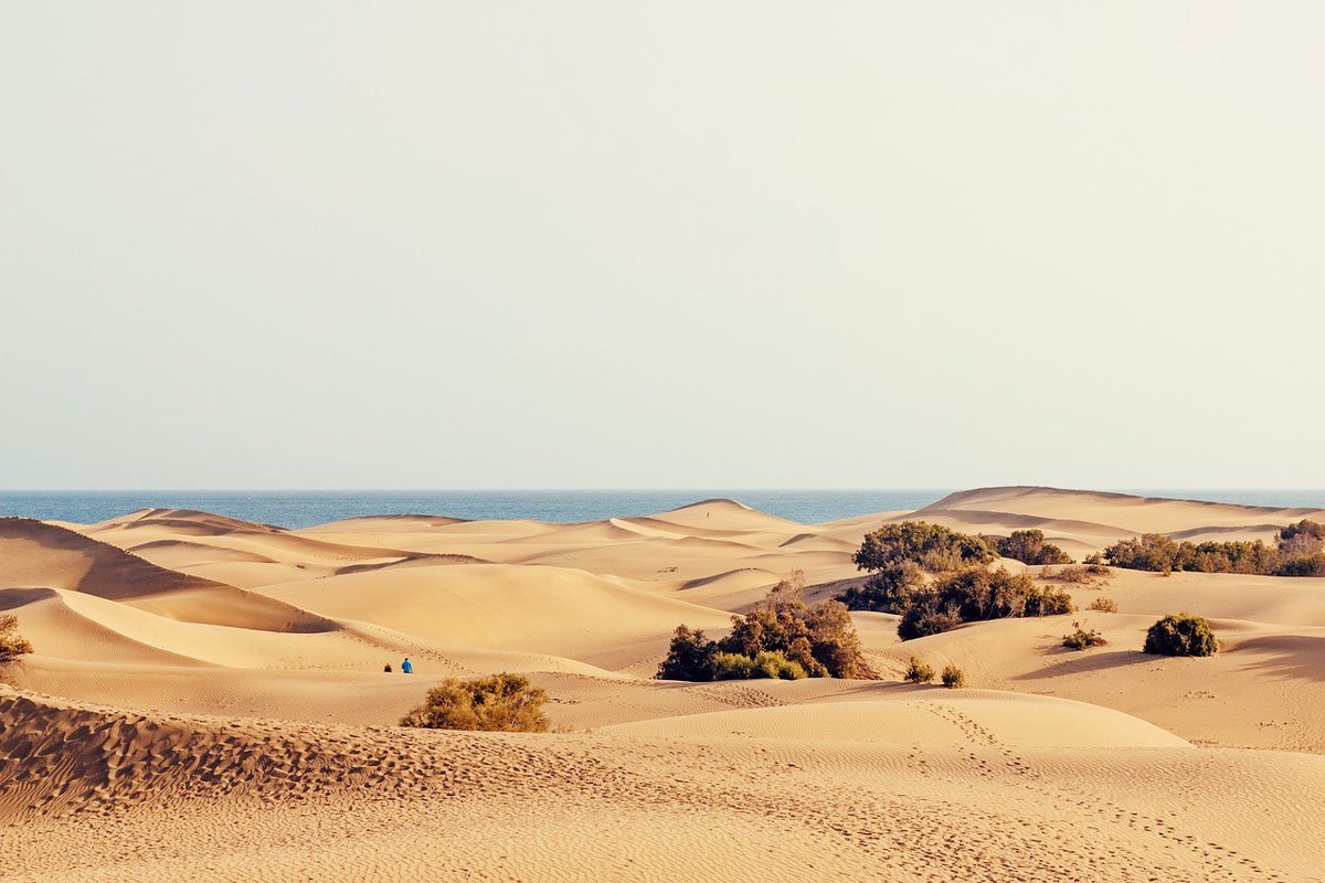 isole canarie quale scegliere