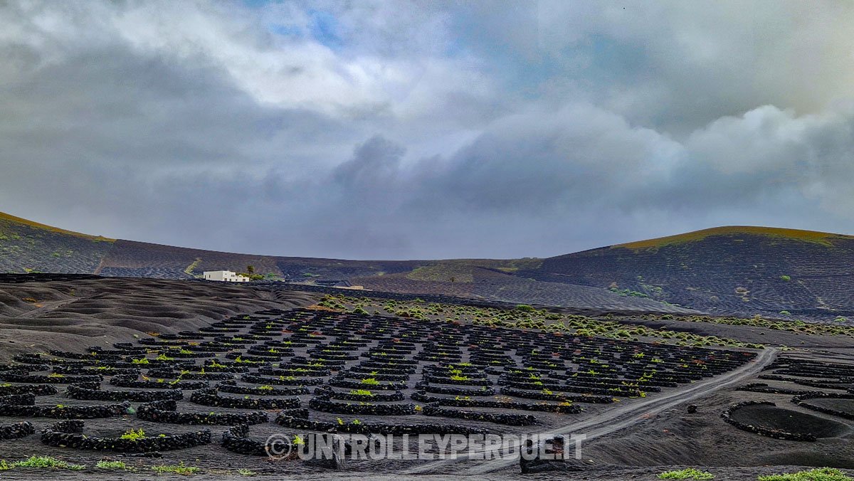 strada del vino lanzarote