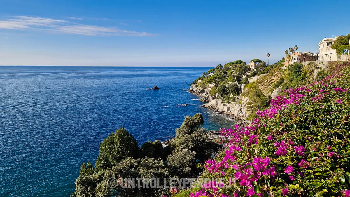 panorama costa bogliasco