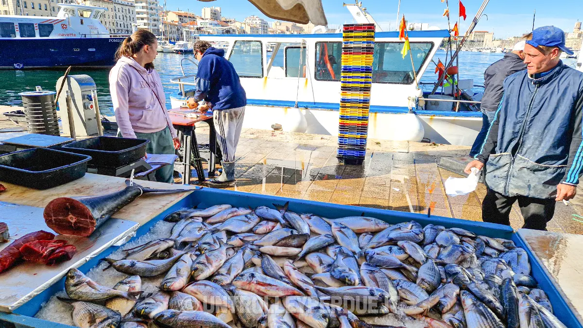 mercato del pesce porto vecchio marsiglia