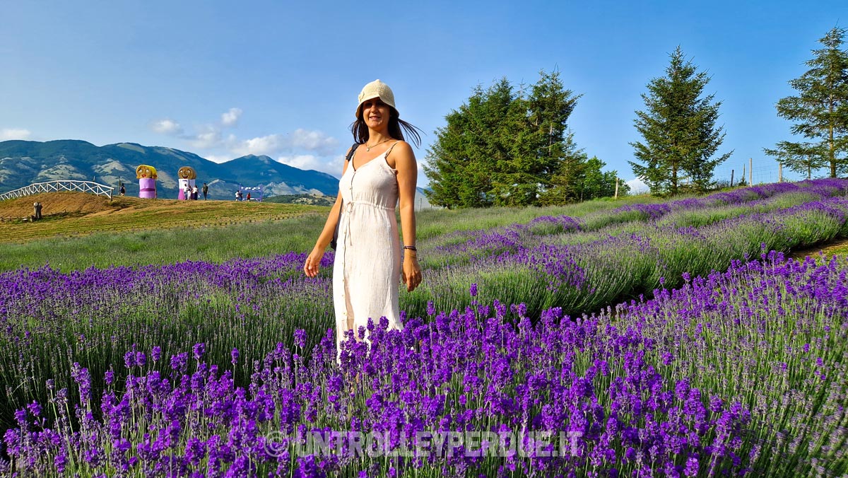 parco della lavanda pollino