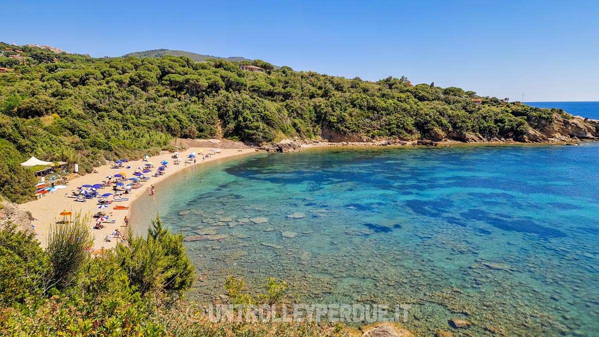 spiagge isola d'elba