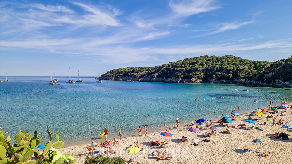 spiagge isola d'elba