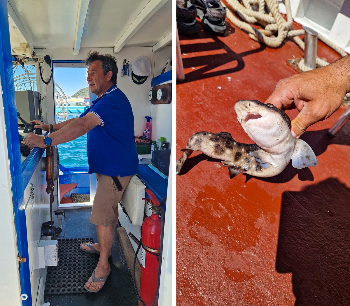 pescaturismo isola d'elba