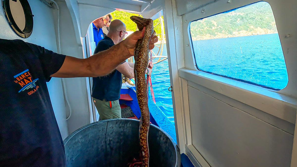 pescaturismo isola d'elba