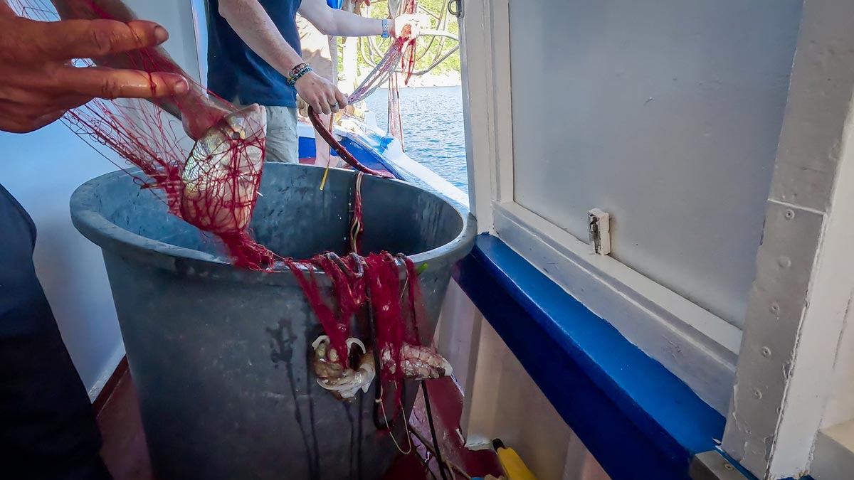 pescaturismo isola d'elba