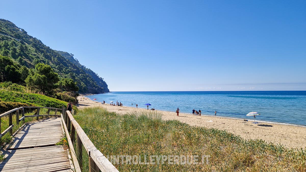 spiagge del cilento